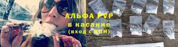 spice Бородино