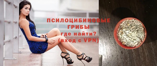 spice Бородино