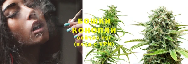 амф Богданович
