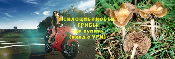 амф Богданович