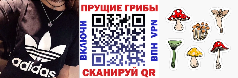 Галлюциногенные грибы мицелий  цены наркотик  Луховицы 